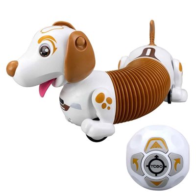 Robo Dash D Asorti