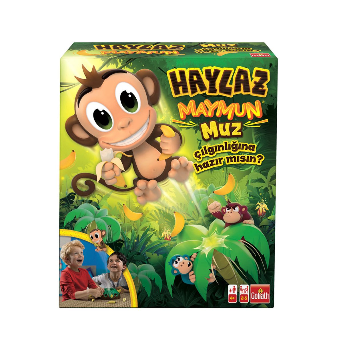 Goliath Haylaz Maymun +4 yaş